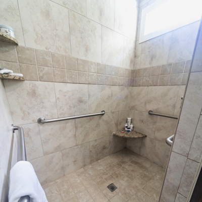 Bathroom Rails Photo