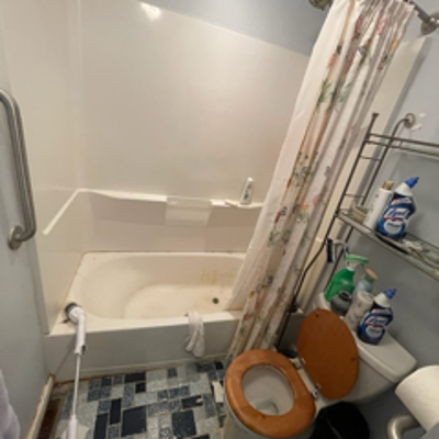 Before: Tub Shower Remodel Photo