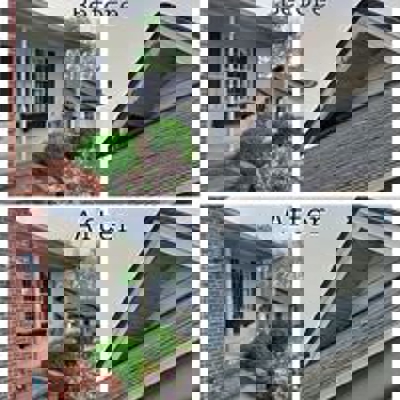 Before and After Photo