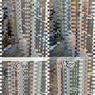 Exterior Door Before and After Photo