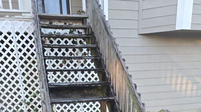 Project: External Stairs Photo