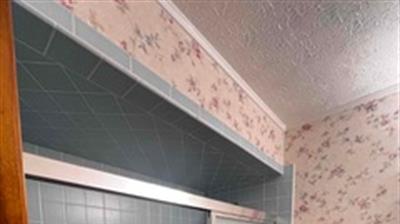 Before: Shower Remodel Photo